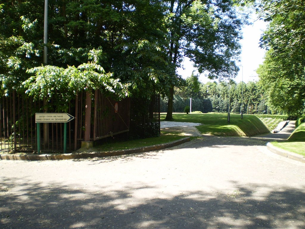 Multipurpose Lawn Area
