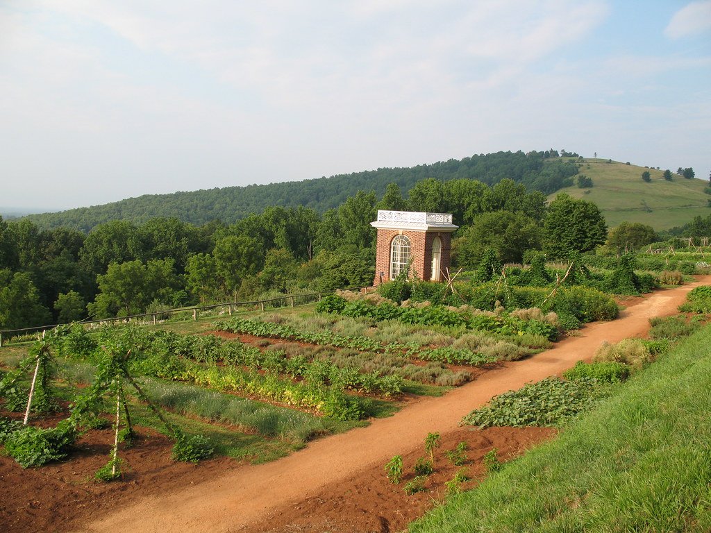 Meditation Pavilion